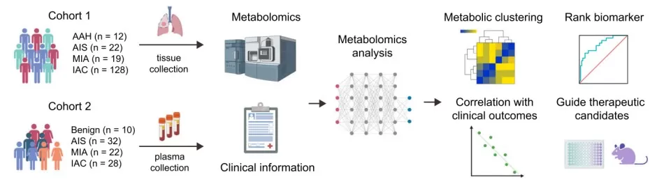 Evolutionary metabolic landscape from preneoplasia to invasive lung adenocarcinoma